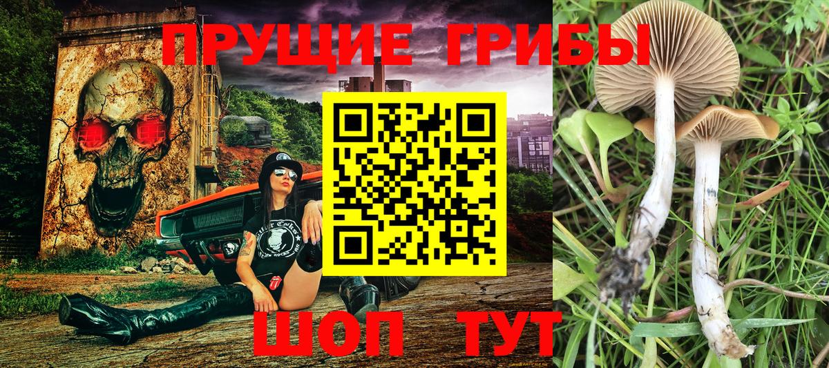 Псилоцибиновые грибы MAGIC MUSHROOMS  Псилоцибиновые грибы ЛСД  Нижневартовск  Вход с VPN 